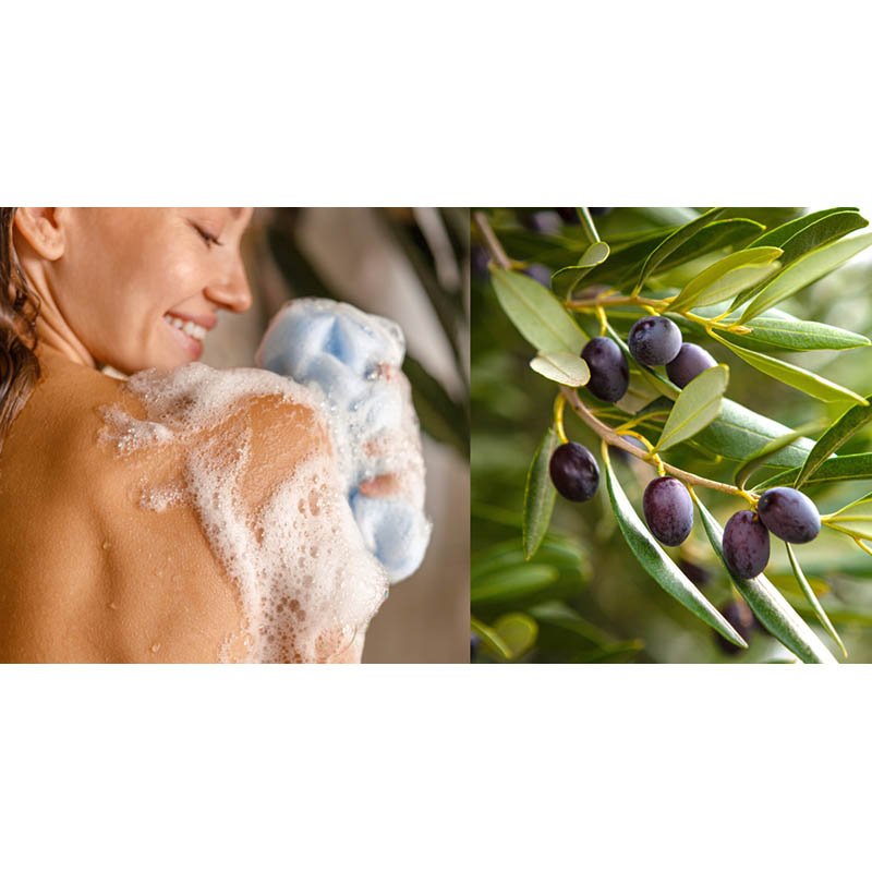 PLANTANA Pflegeduschbad Olive 500 ml Duschgel