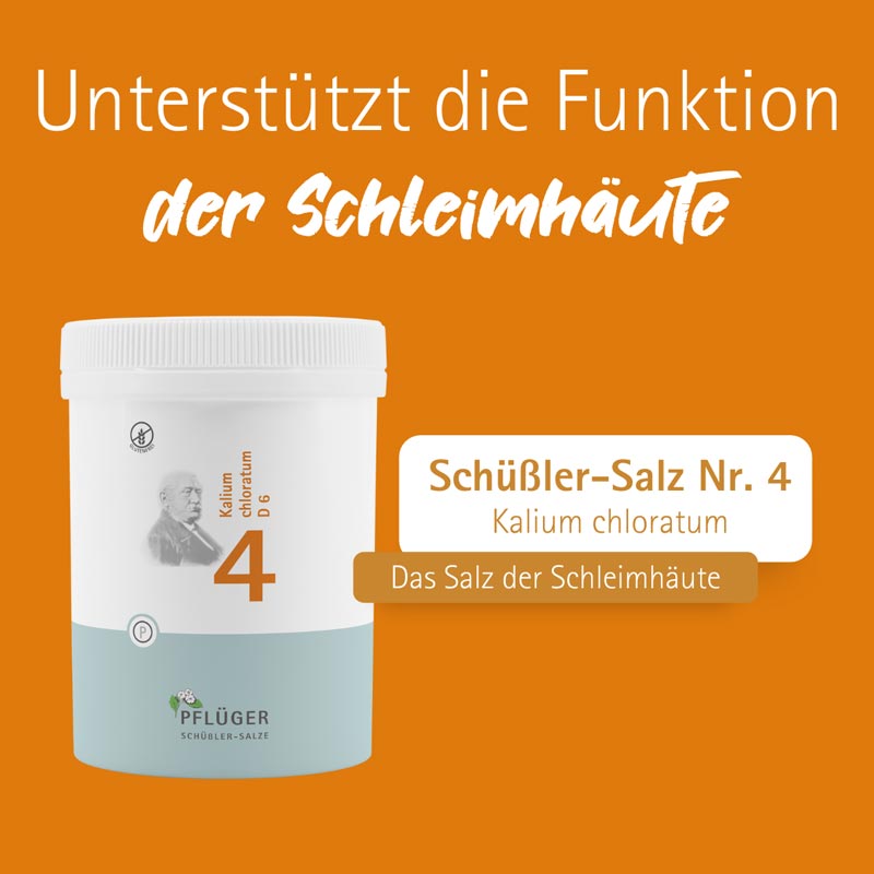 Schüßler-Salz Nr. 4 Kalium chloratum D6 1000 St Tabletten