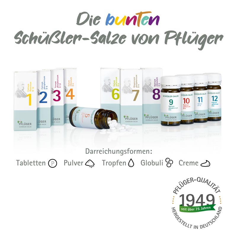 Schüßler-Salz Nr. 1 Calcium fluoratum D12 400 St Tabletten