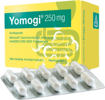 Yomogi 250mg 5 Billionen Zellen 20 St Hartkapseln