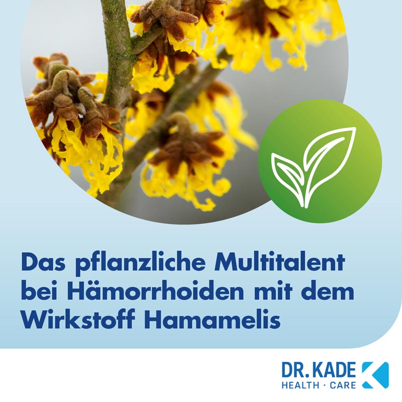 FAKTU lind Hämorrhoidensalbe 25 g Salbe