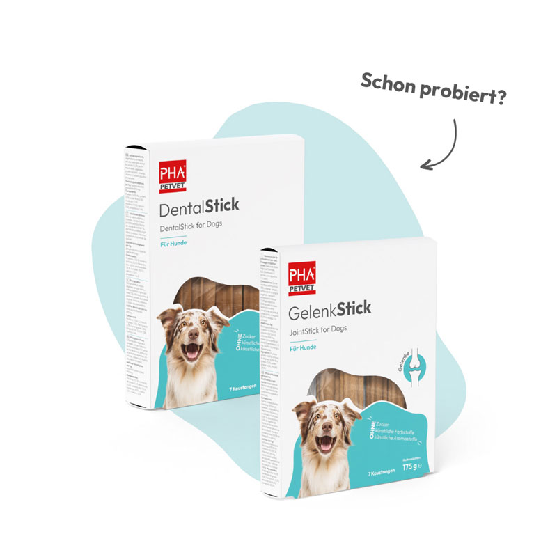 PHA MultiVitalStick für Hunde 7 St Kaudragees