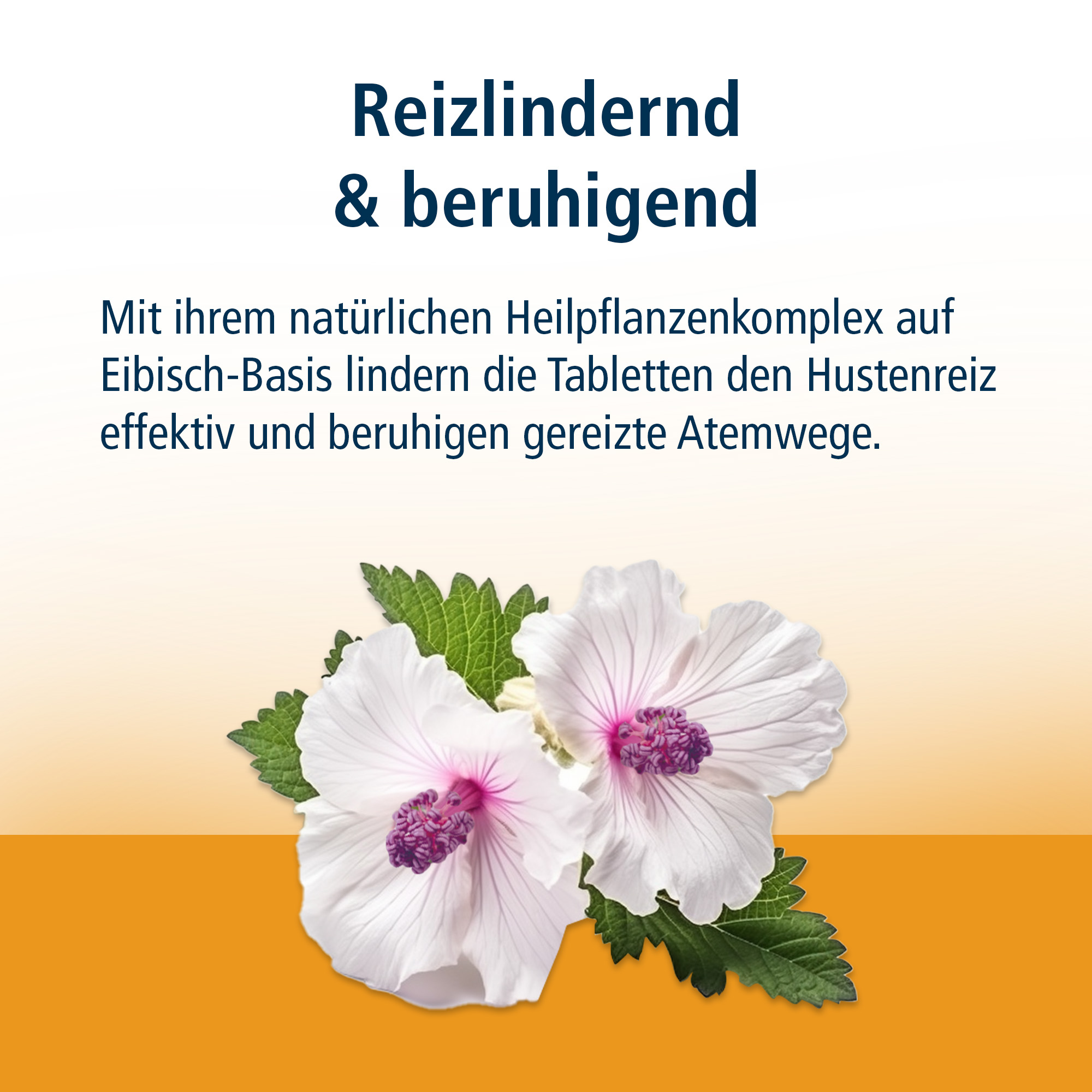 KLOSTERFRAU Reizhusten  24 St Lutschtabletten