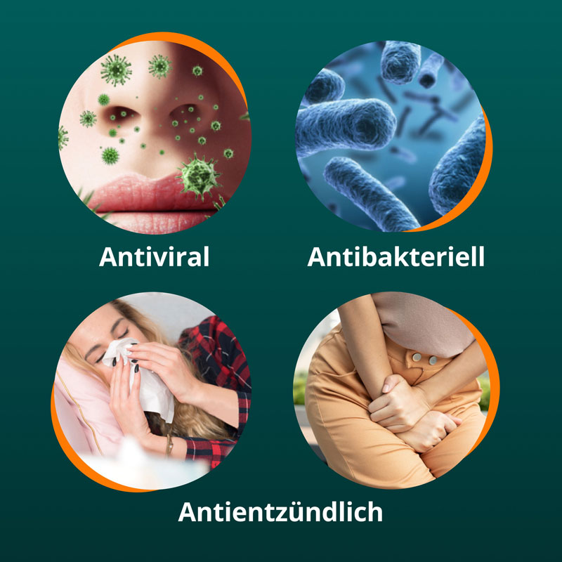 ANGOCIN Anti-Infekt N 60 St Filmtabletten