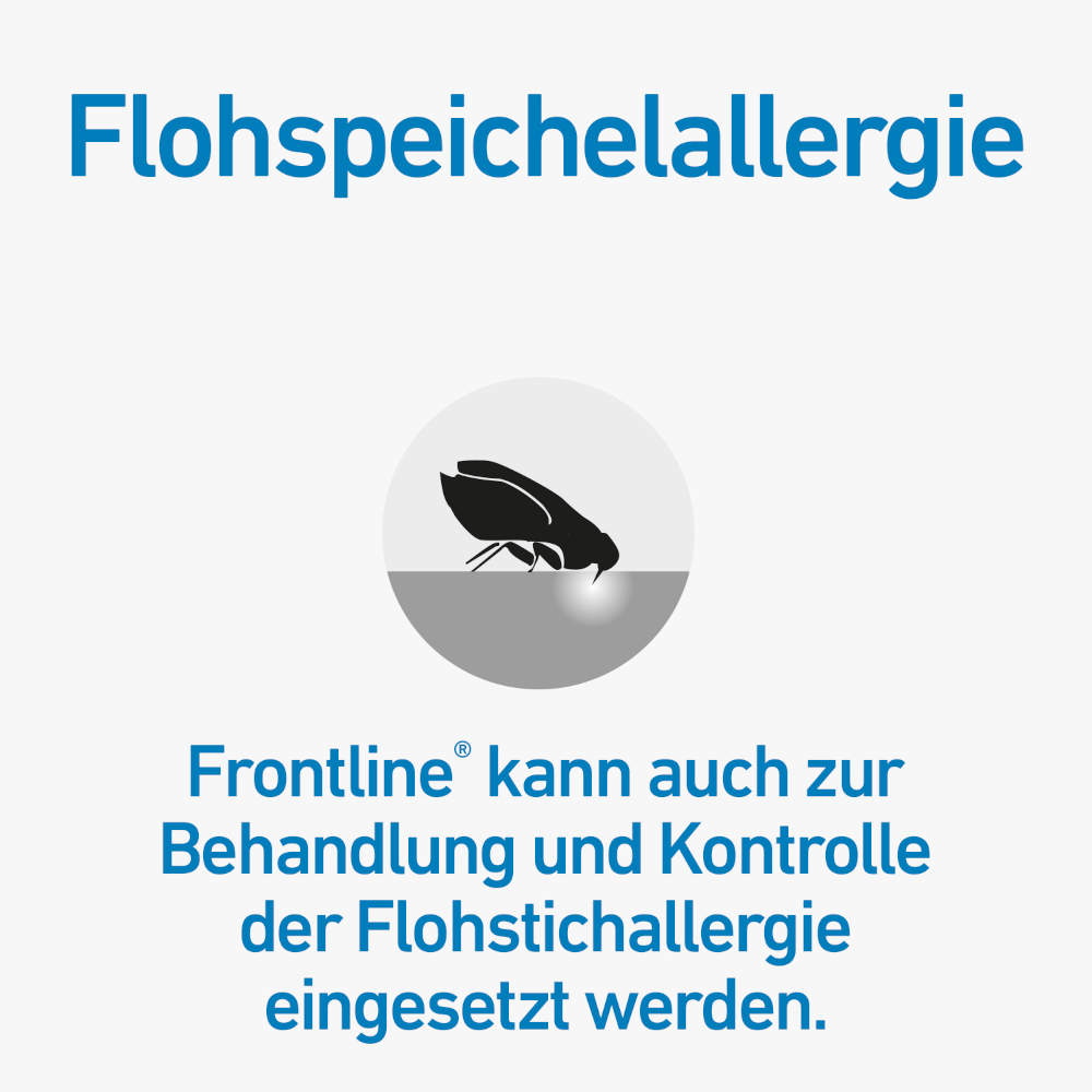 FRONTLINE SPOT-ON für Hunde L (20-40 kg) gegen Zecken, Flöhe und Haarlinge 6 St Lösung