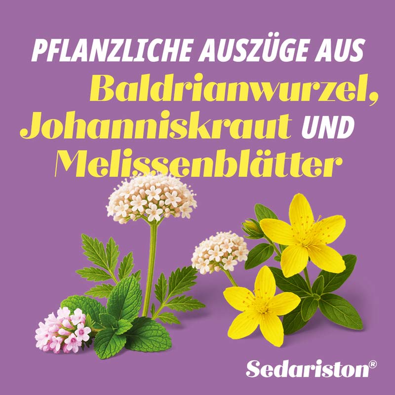 Sedariston Tropfen 20 ml Flüssigkeit zum Einnehmen