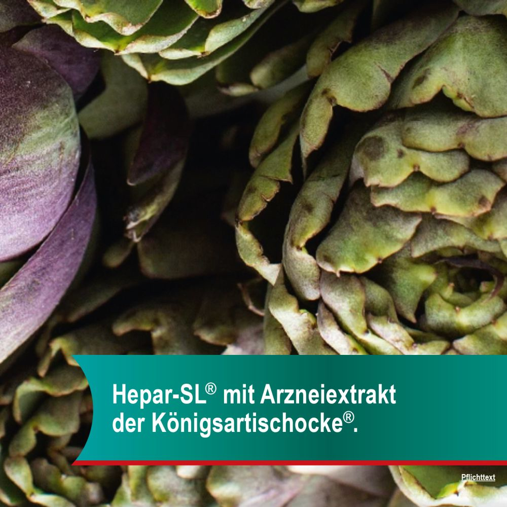 Hepar-SL 640 mg 100 St Filmtabletten