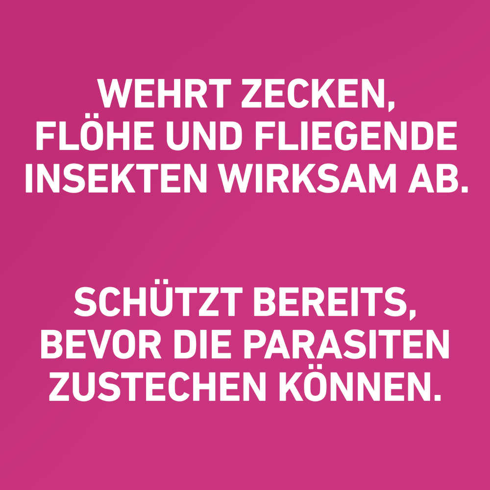 FRONTLINE TRI-ACT gegen Zecken, Flöhe & fliegende Insekten für Hunde L (20-40 kg)  3 St Lösung
