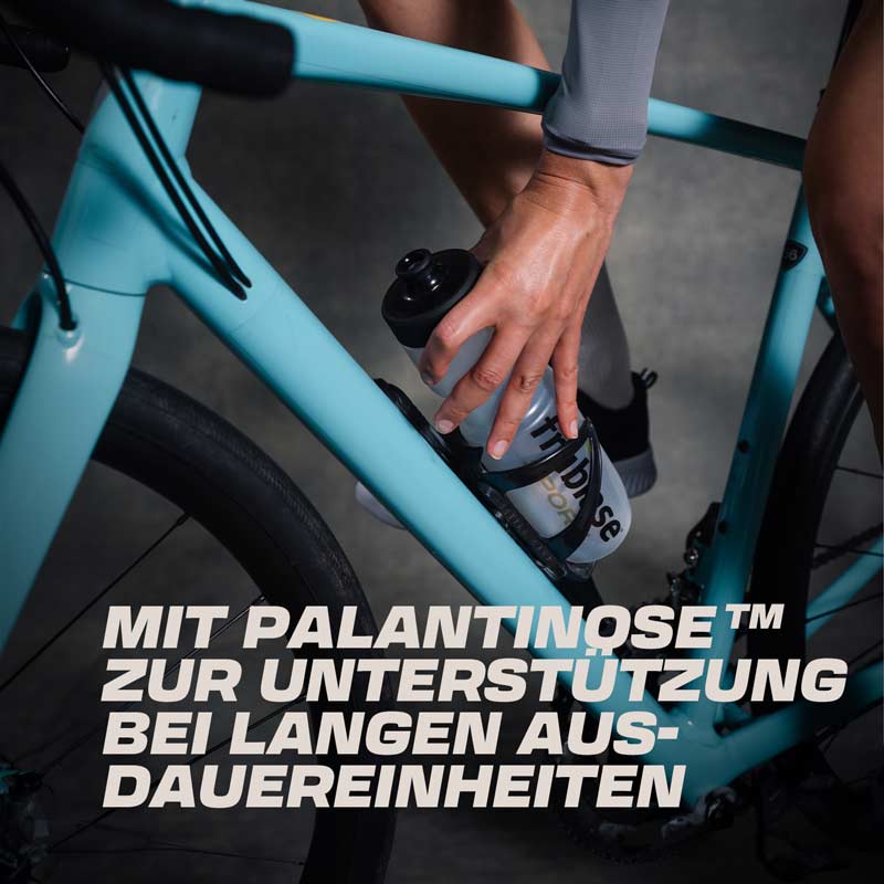 frubiase SPORT AUSDAUER 440 g Pulver