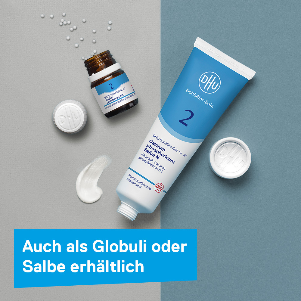 DHU Schüßler-Salz Nr. 2 Calcium phosphoricum D12 200 St Tabletten
