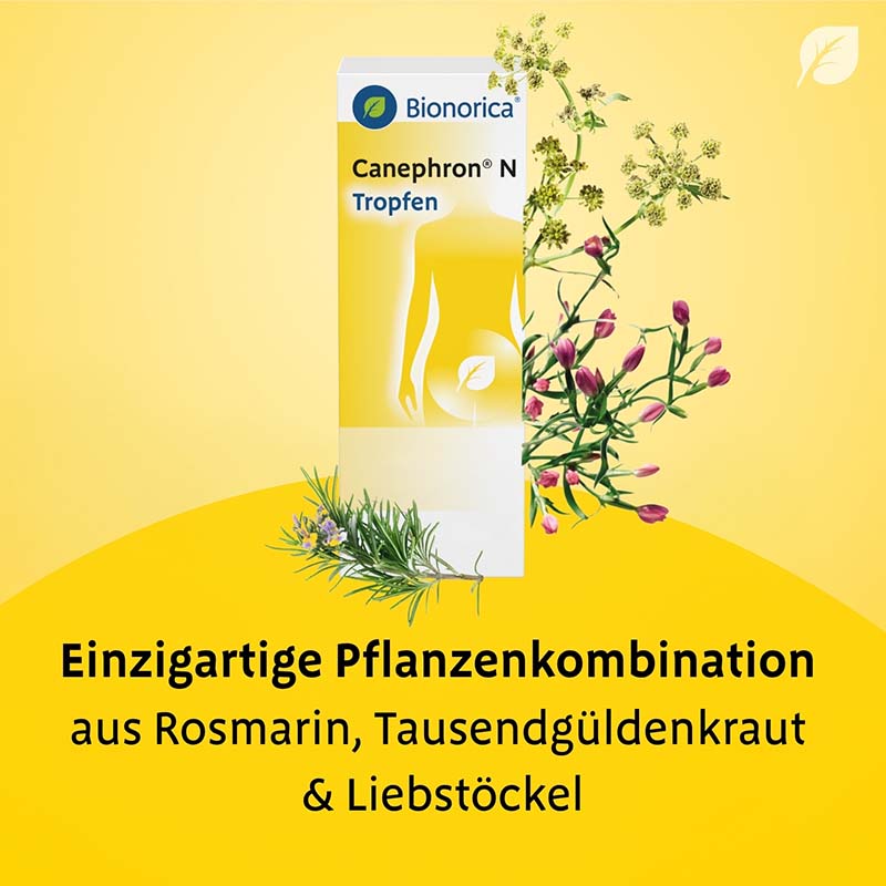 Canephron N Tropfen 100 ml Tropfen