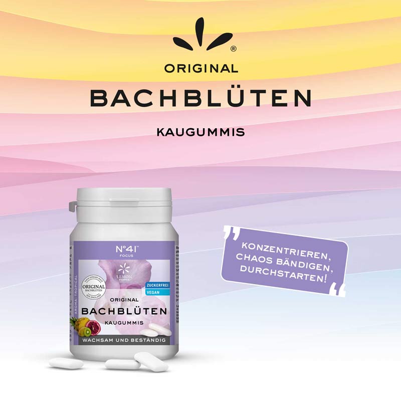 ORIGINAL BACHBLÜTEN KAUGUMMI No 41 FOCUS 40 St Kaugummi