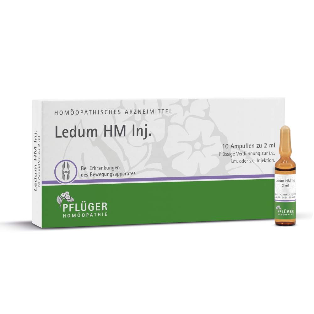 Ledum HM Inj. 10 St Ampullen