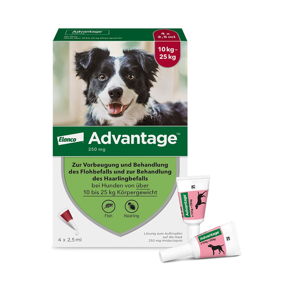 ADVANTAGE 250 HUND 4 St Lösung
