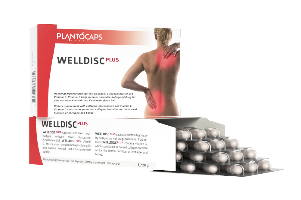 WELLDISC PLUS Kapseln 60 St Kapseln