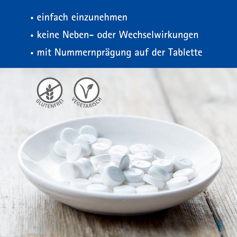 Schüßler-Salz Nr. 2 Calcium phosphoricum D6 1000 St Tabletten