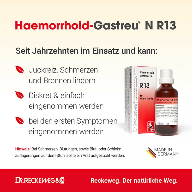 HAEMORRHOID Gastreu N R13 Tropfen zum Einnehmen 50 ml Mischung