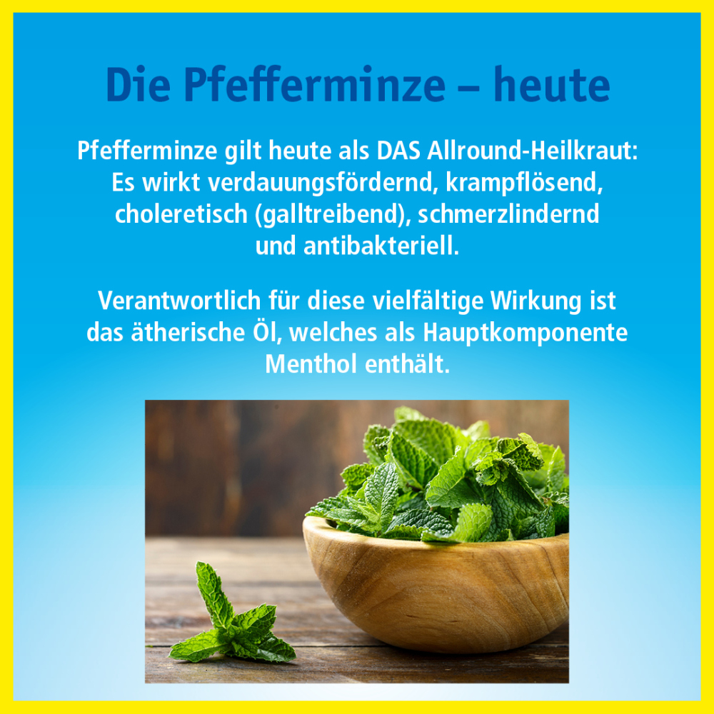 China-Oel KUTAN 10 ml Ätherisches Öl