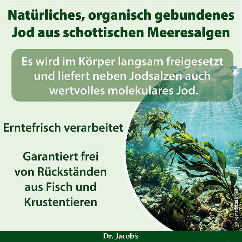 Dr. Jacob's Jod-Probio Selen B12 Milchsäurebakterien vegan
