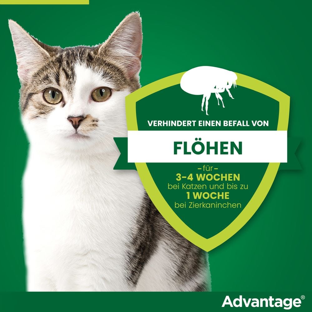 ADVANTAGE 40MG KATZE+ZIERKANINCHEN 4X0.4 ml Lösung