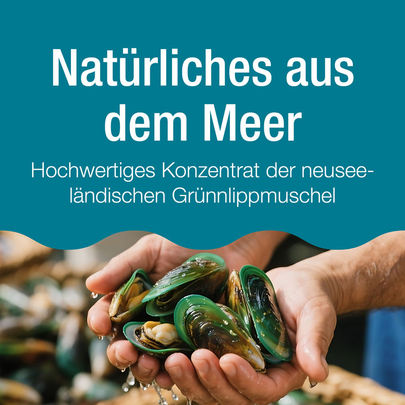 Arthri-Verlan Grünlippmuschel-Konzentrat 200 St Tabletten