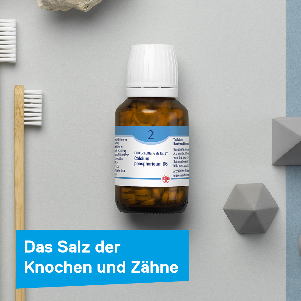 DHU Schüßler-Salz Nr. 2 Calcium phosphoricum D6 900 St Tabletten
