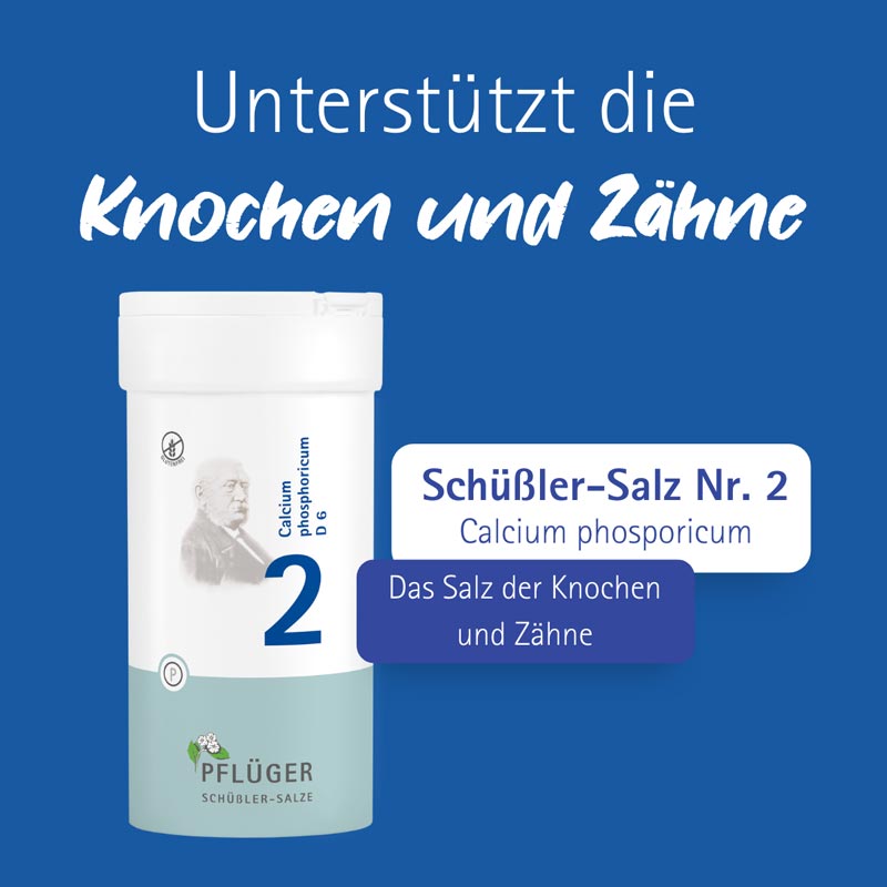 Schüßler-Salz Nr. 2 Calcium phosphoricum D6 400 St Tabletten