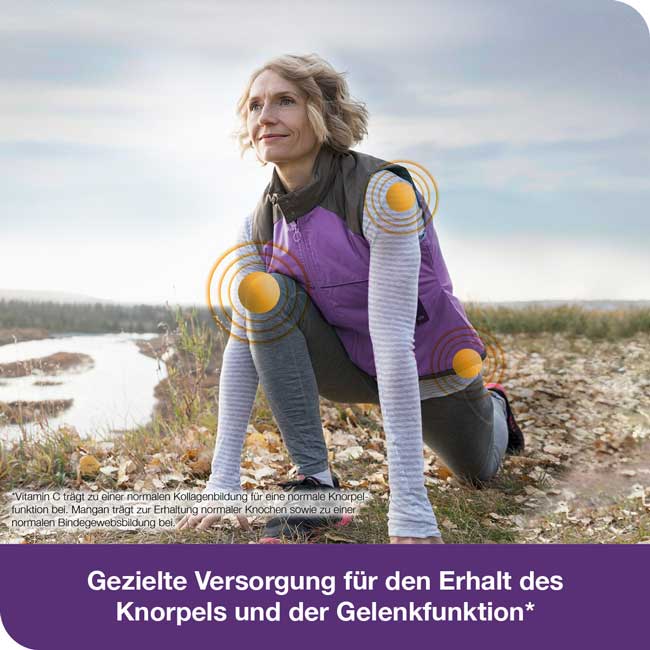 flexiLoges Knorpel aktiv 120 St Kapseln