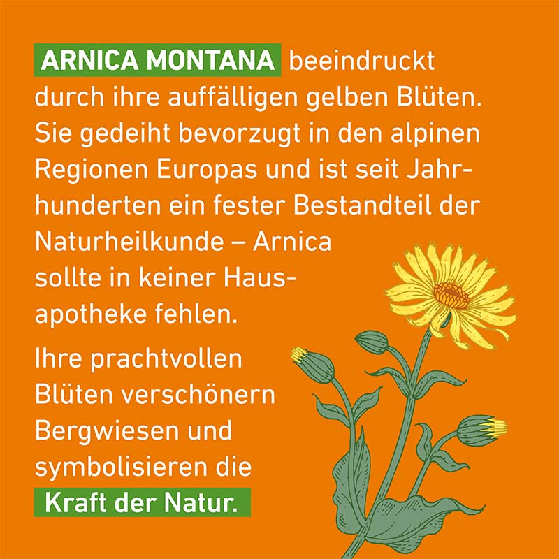 Arnica C30 Globuli Pflüger 10 g Globuli