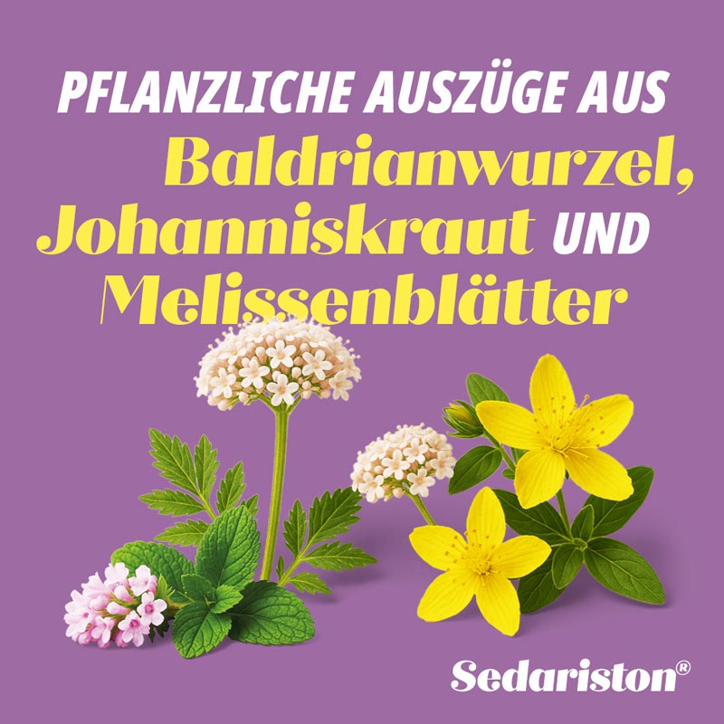 Sedariston Tropfen 100 ml Flüssigkeit zum Einnehmen