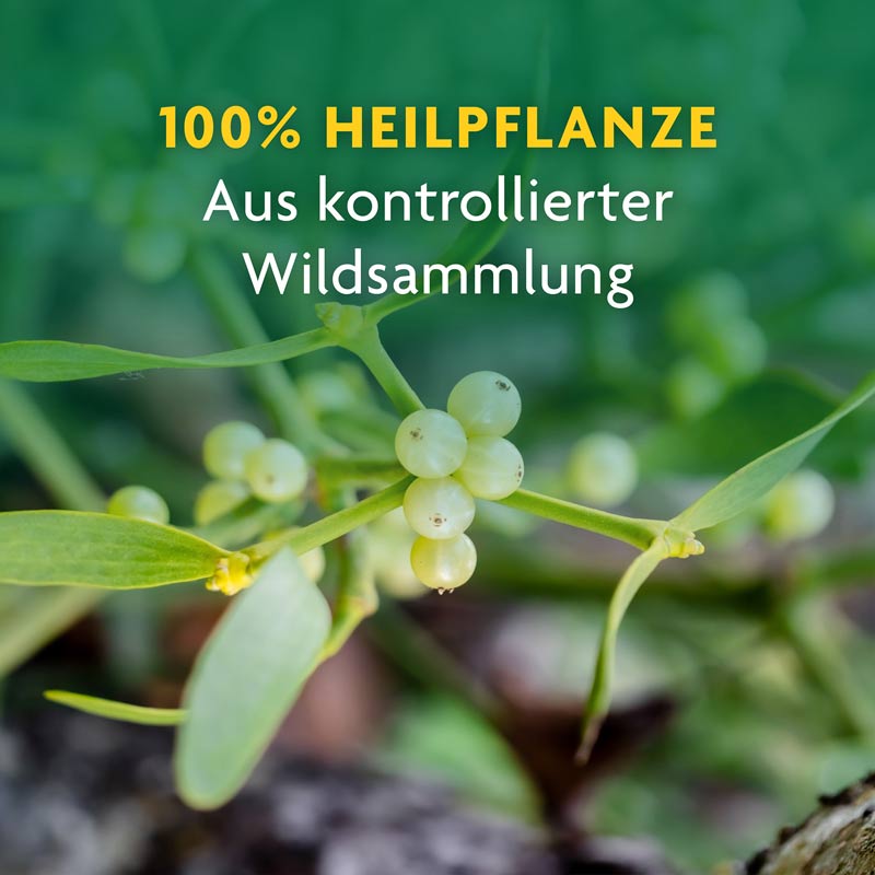 Schoenenberger Mistel NATURREINER HEILPFLANZENSAFT 3X200 ml Saft