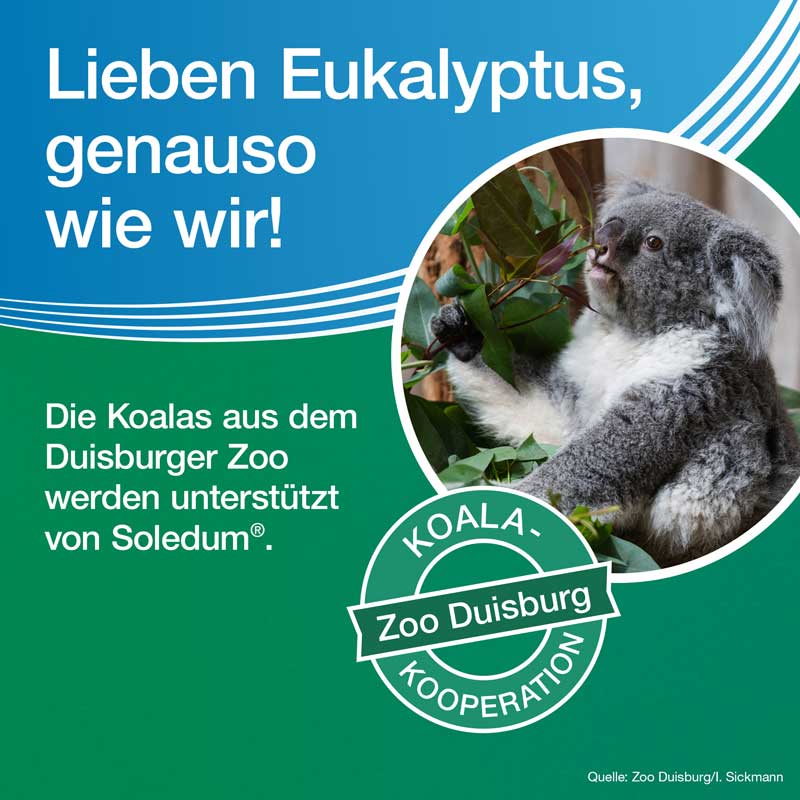 Soledum forte 50 St Kapseln magensaftresistent