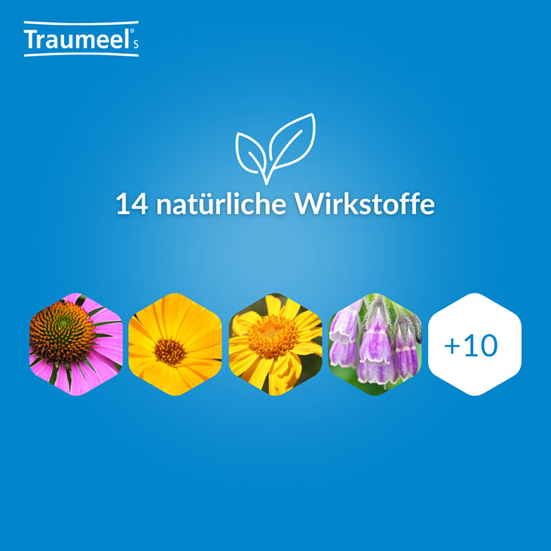 Traumeel S Gel 50 g Gel