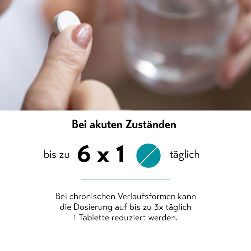 MELISTON 40 St Tabletten