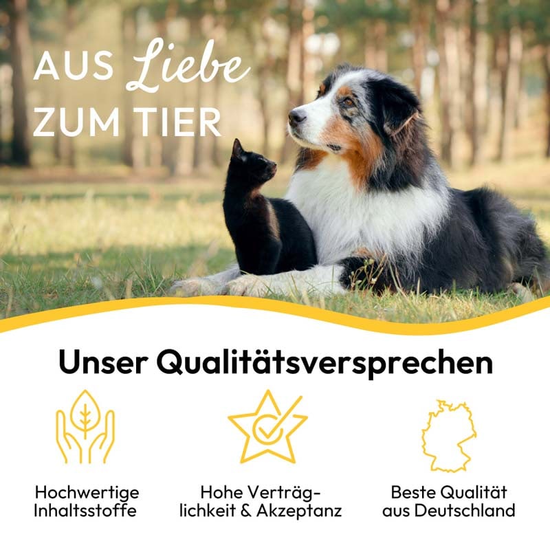 PHA HautRepair Tube für Hunde und Katzen 125 g Tube