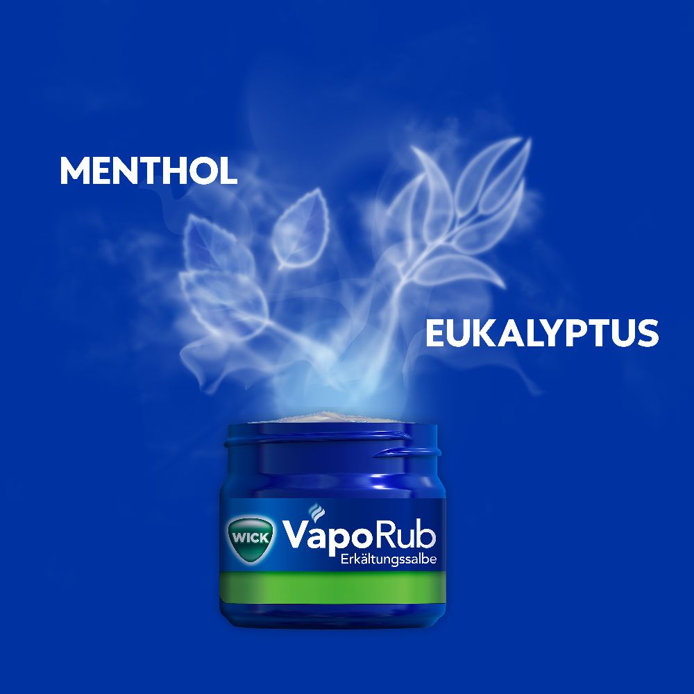 WICK VapoRub Erkältungssalbe 100 g Salbe
