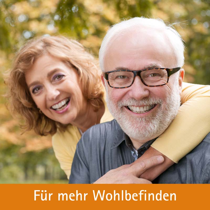 Schüßler-Salz Nr. 4 Kalium chloratum D6 100 ml Tropfen