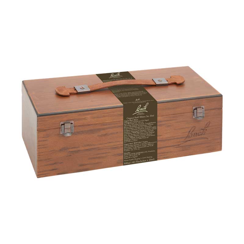 BACHBLÜTEN Original Professional Set 40 x 20ml 800 ml Tropfen