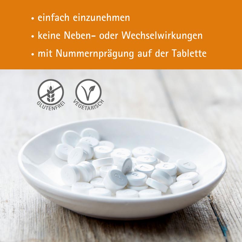Schüßler-Salz Nr. 4 Kalium chloratum D6 4000 St Tabletten