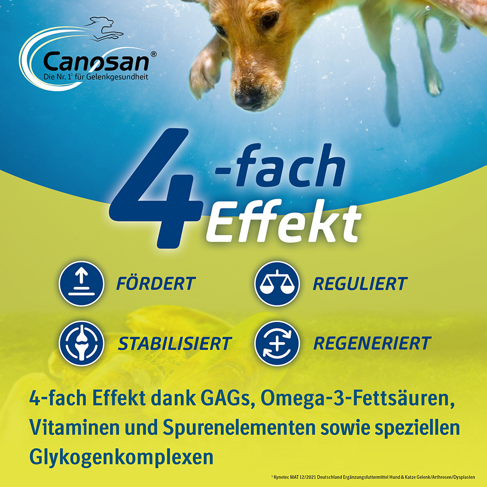 CANOSAN Kautabletten bei Gelenkproblemen Hund mit Grünlippmuschel-Extrakt Gonex 30 St Kautabletten