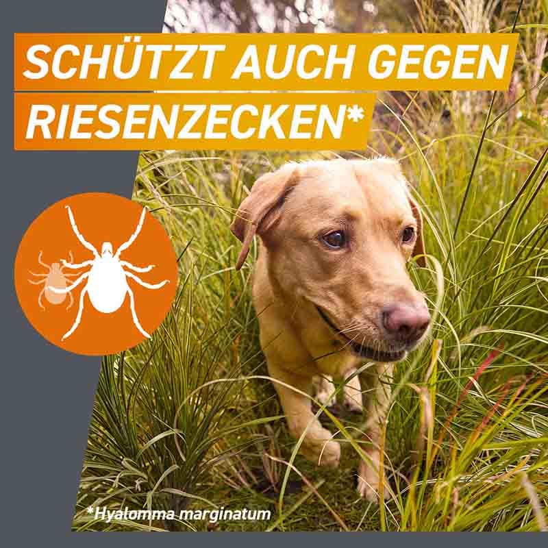 FRONTPRO - gegen Zecken und Flöhe für Hunde (>25-50kg) 3 St Kautabletten