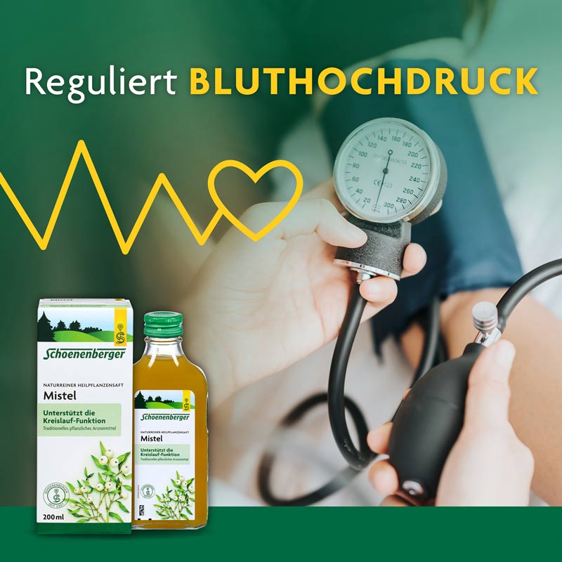 Schoenenberger Mistel NATURREINER HEILPFLANZENSAFT 3X200 ml Saft