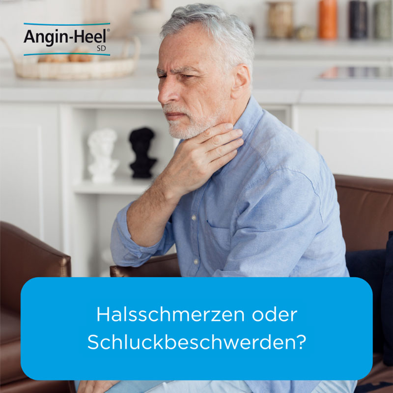 Angin-Heel SD Tabletten 250 St Tabletten