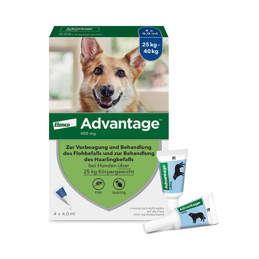 ADVANTAGE 400 HUND PIPETTE 1X4 St Lösung