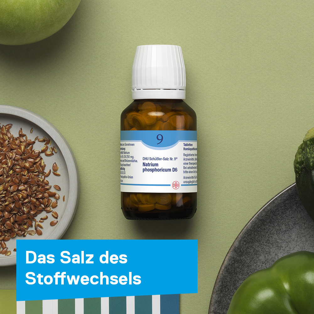 DHU Schüßler-Salz Nr. 9 Natrium phosphoricum D6 900 St Tabletten