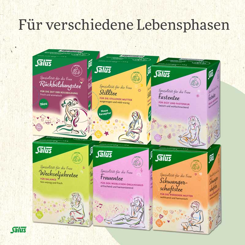 Salus Schwangerschaftstee Bio  15 St Filterbeutel