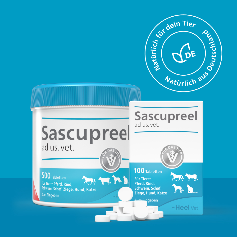 Sascupreel ad us.vet. 100 St Tabletten