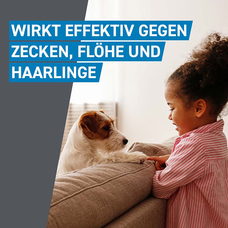 FRONTLINE SPOT ON HUND M gegen Zecken, Flöhe & Haarlinge  6 St Lösung
