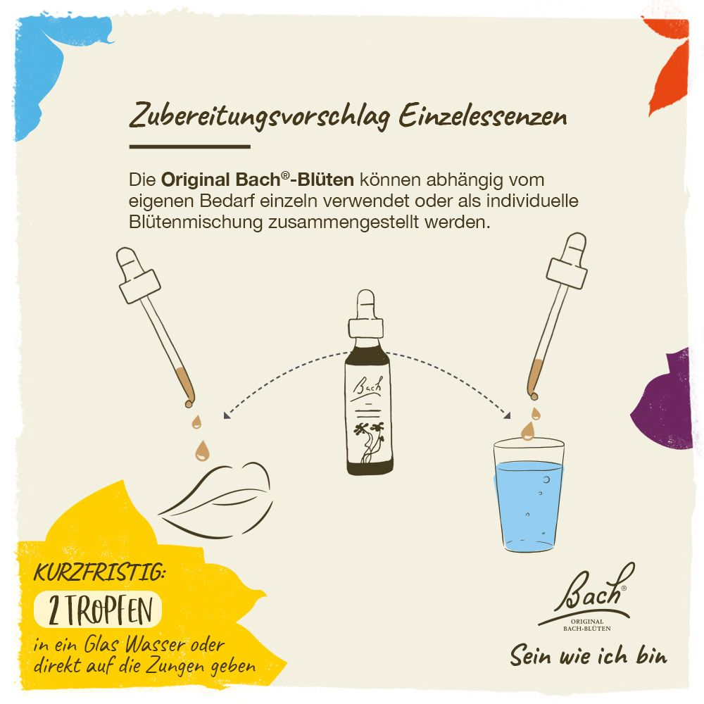 BACHBLÜTEN Original Chicory Nr.8 20 ml Tropfen