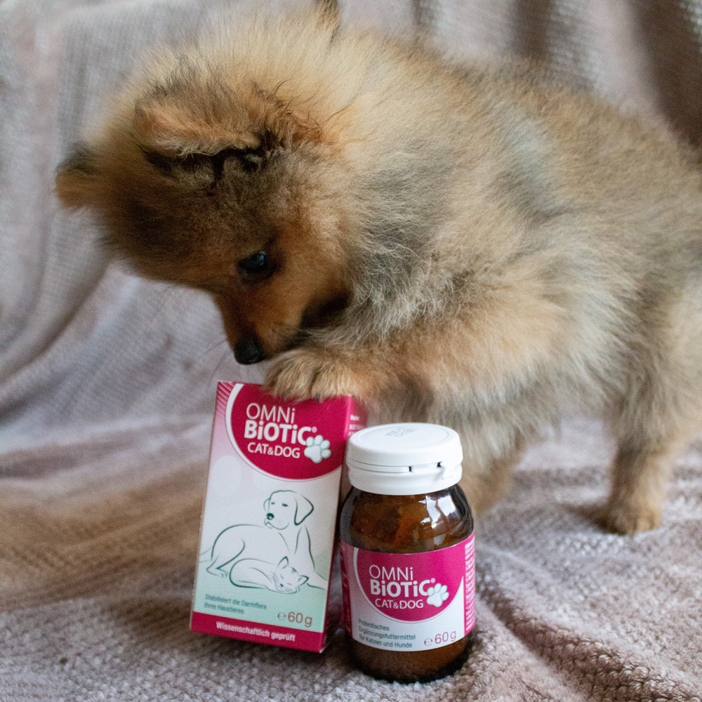 OMNi-BiOTiC CAT & DOG 60 g Pulver